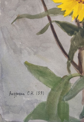 С.Н. Андрияка "Жёлтые Цветы", 1991 г.