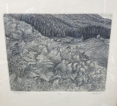 Губарев В.П. "Папортники Урала", 1986год.