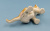 Фарфоровая статуэтка "Львёнок". Фарфоровая статуэтка "Львёнок".