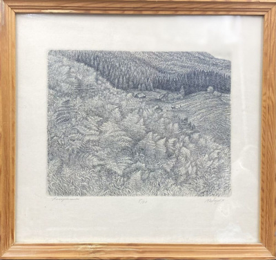 Губарев В.П. "Папортники Урала", 1986год.
