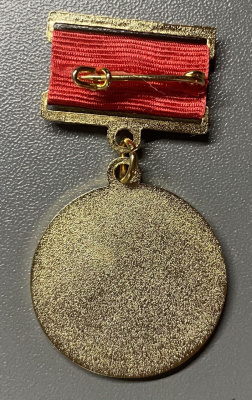 Знак "75 лет Литературный институт им. А.М.Горького 1933".