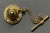 Знак "University of Pennsylvania School of Medicine 1765". Знак "University of Pennsylvania School of Medicine 1765".