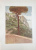 Capri von C.W.Allers. 53 факсимиле и 9 акварельных гравюр.