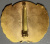 Знак "Кокарда ООН". Знак "Кокарда ООН".