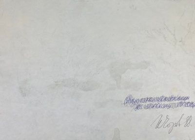 Неизвестный художник "Весенний пейзаж".