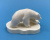 Кость "Медведь". Кость "Медведь".